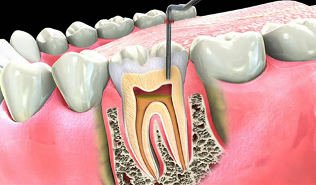 Dental Stephany - clinica stomatologica