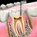 Dental Stephany - clinica stomatologica